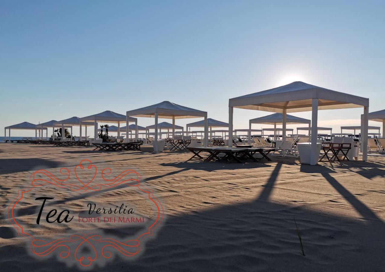 Tea Versilia - Apartment Forte dei Marmi