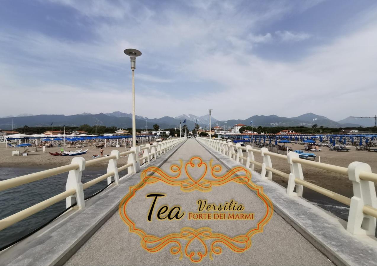 Apartment Tea Versilia - *